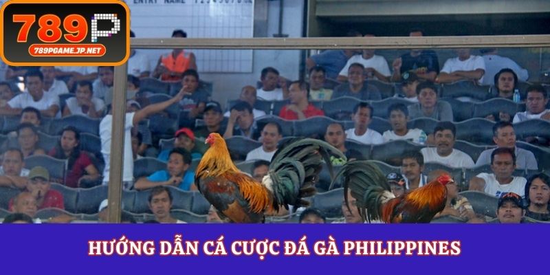 Hướng dẫn cá cược đá gà Philippines 