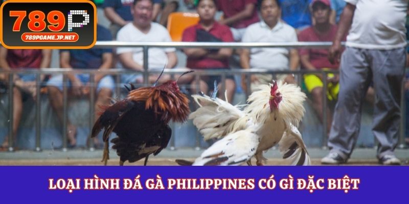 Loại hình đá gà Philippines có gì đặc biệt