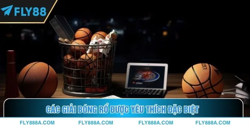 Các giải bóng rổ được yêu thích đặc biệt