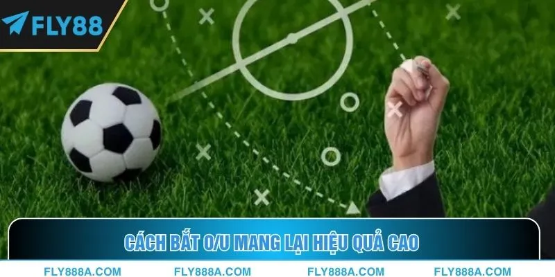 Cách bắt O/U mang lại hiệu quả cao
