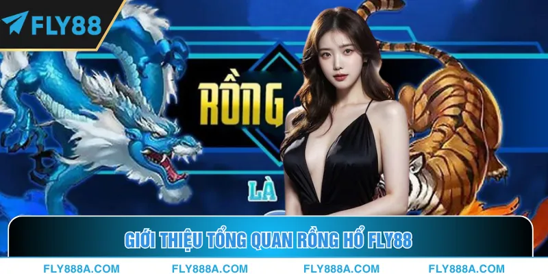 Khái quát những điểm chính trong siêu phẩm Rồng Hổ