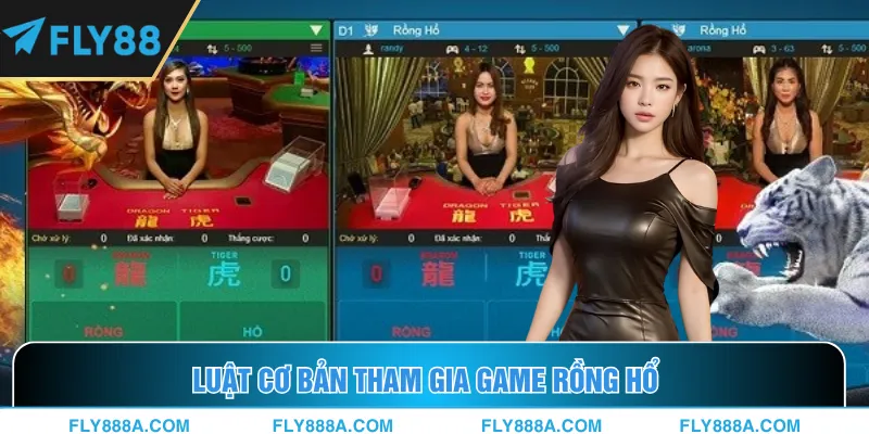 Chi tiết luật đánh Rồng Hổ Fly88 mà newbie cần biết